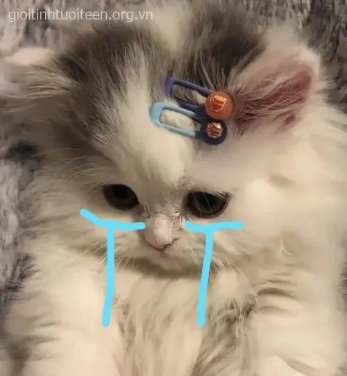 22 21