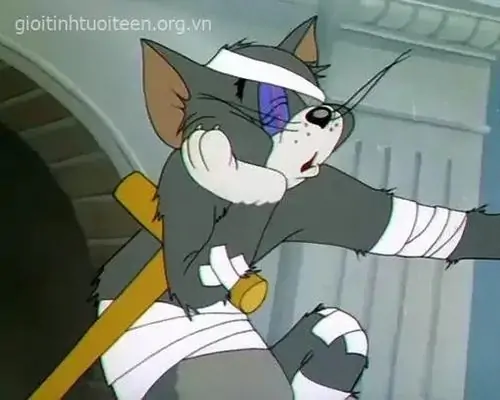 80 79