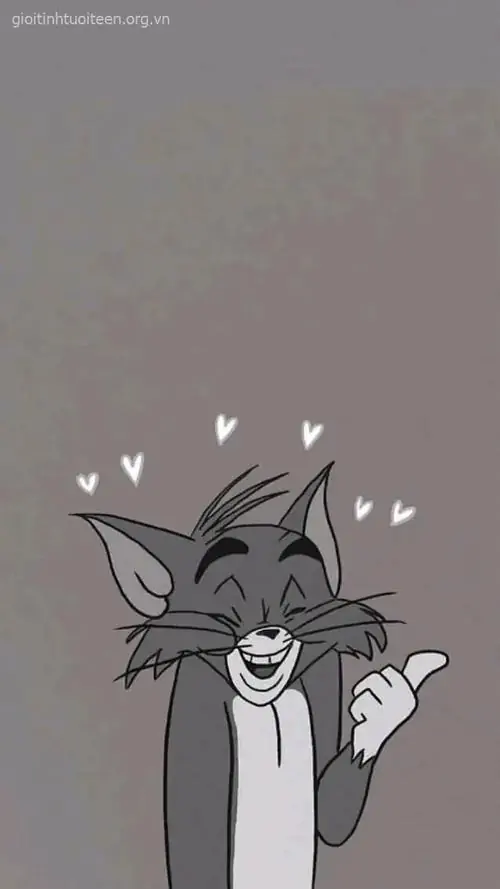 86 85