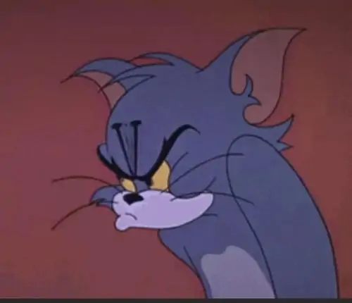 27 26