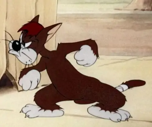 7 6