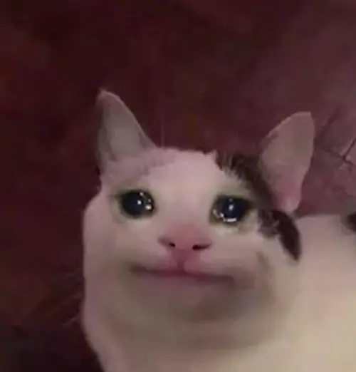 132 131