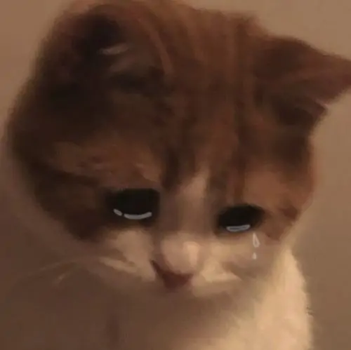 126 125