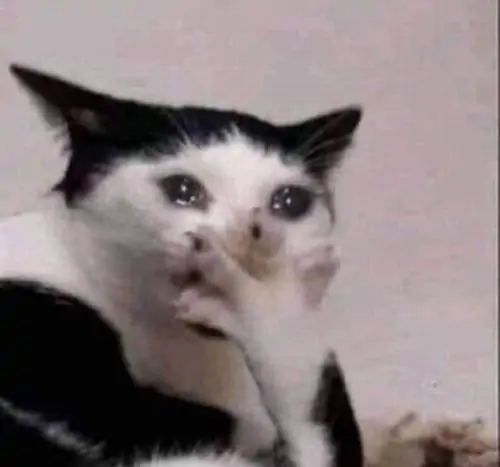 114 113