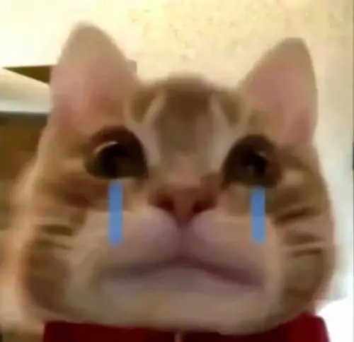 122 121