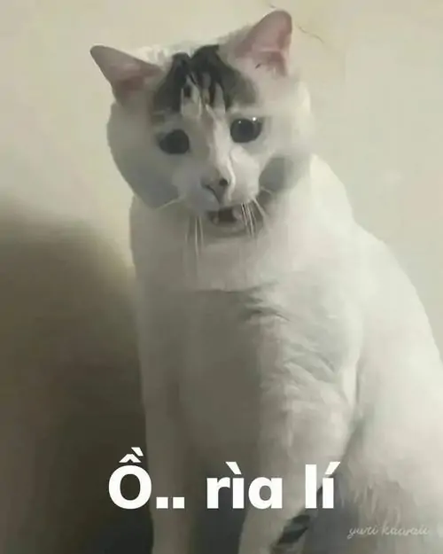 218 217
