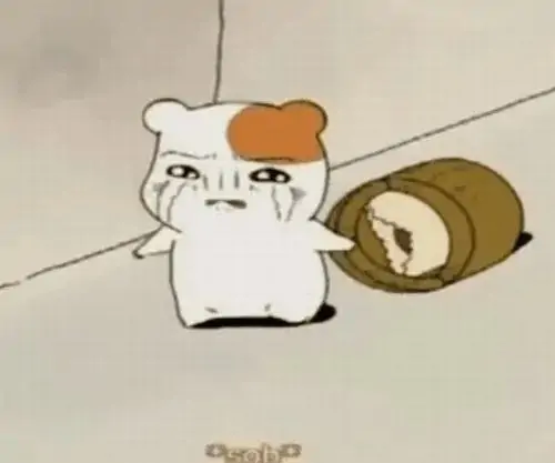 255 254