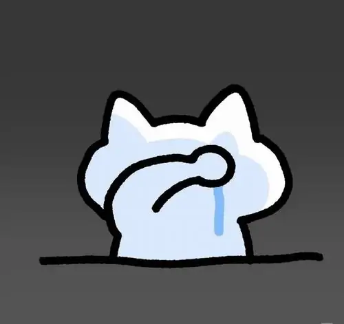 261 260
