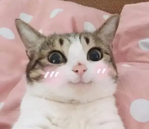 90 89