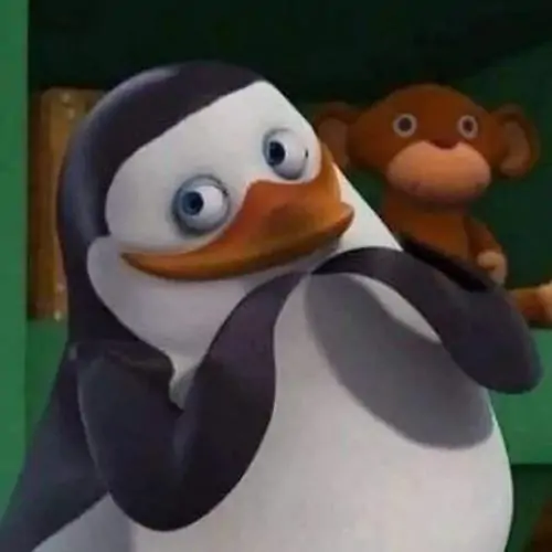 82 81