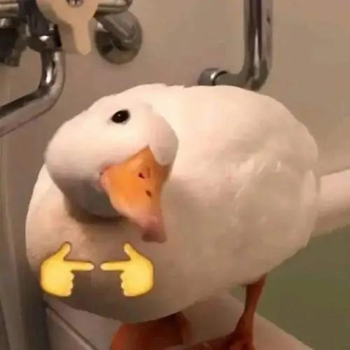 84 83