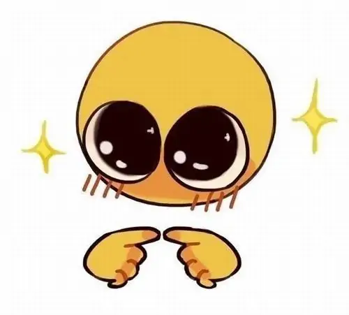 64 63