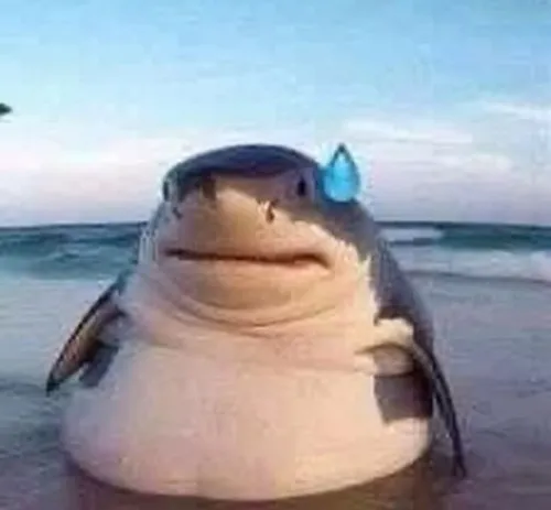 46 45