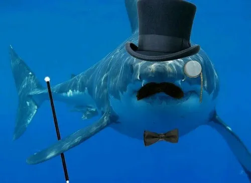 48 47