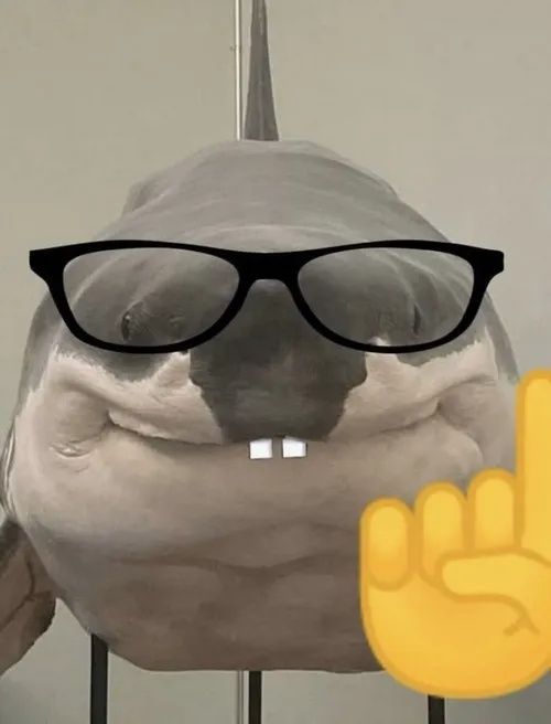 38 37