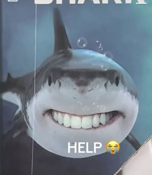 42 41