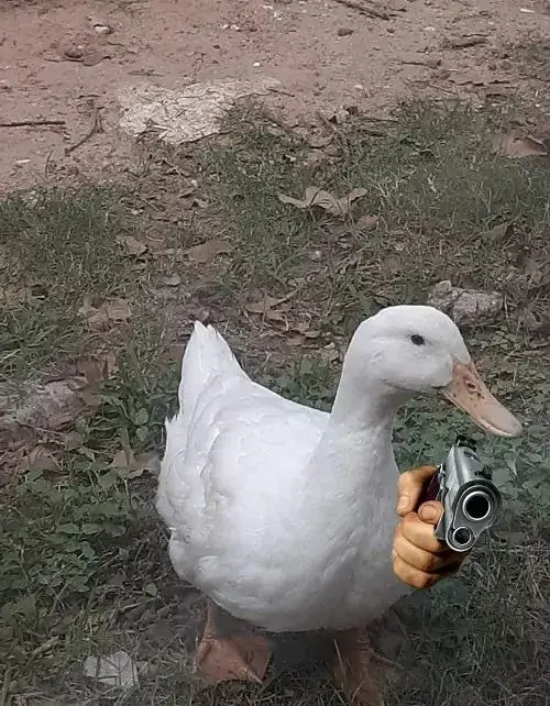 205 204