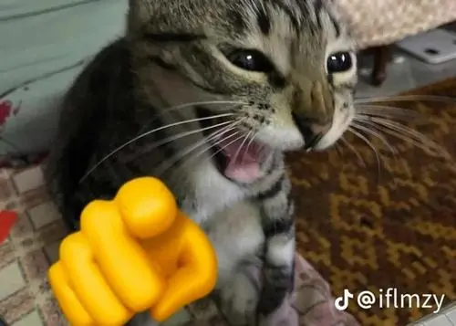 80 79