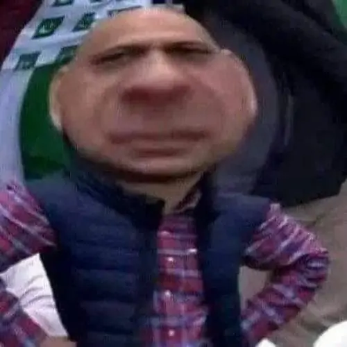 82 81