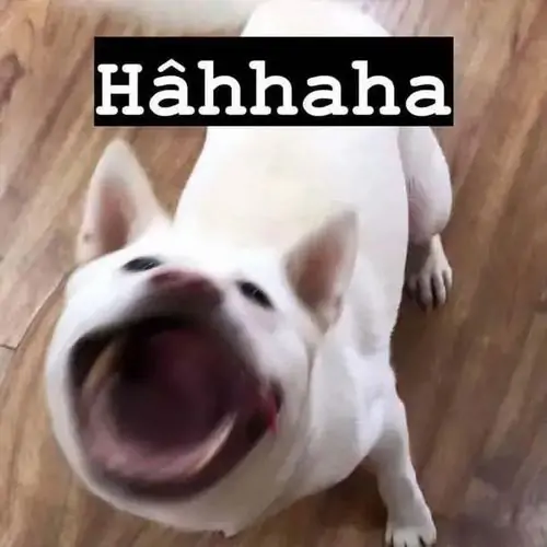 68 67