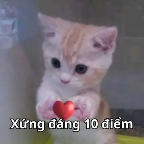 79 78