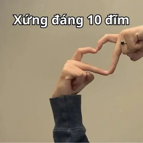 85 84