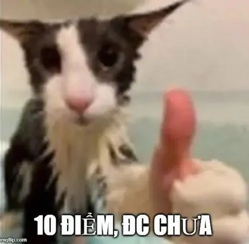 65 64