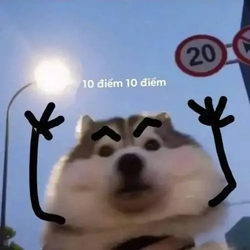 69 68