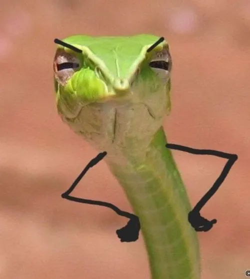56 55