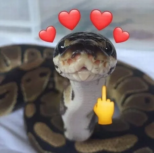 50 49
