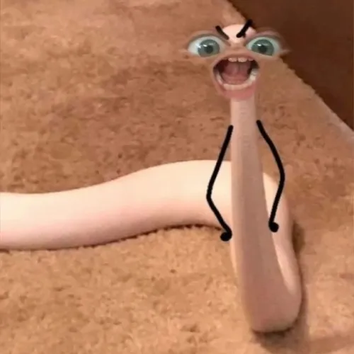 52 51