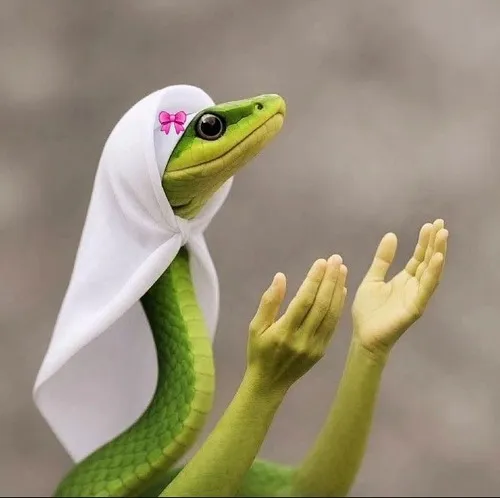 54 53