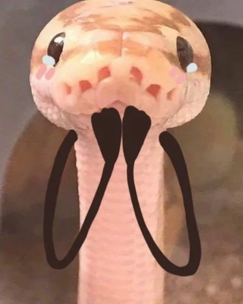 37 36