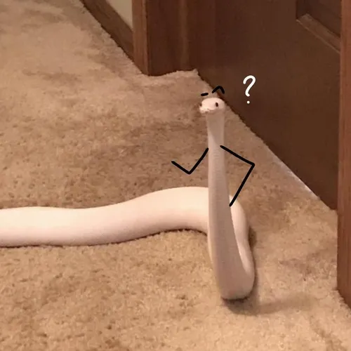 39 38