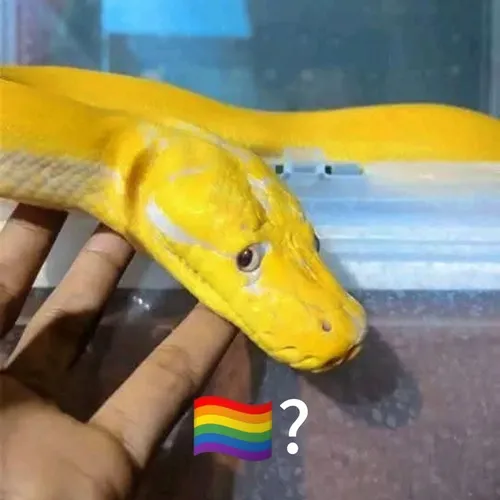 44 43