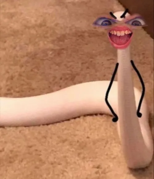 46 45