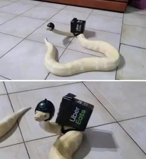 48 47