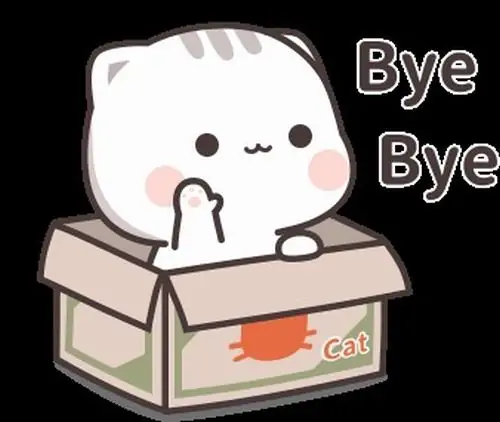 29 Nhân vật hoạt hình màu vàng đeo kính một mắt cười toe toét nhảy lên vẫy tay chào khán giả trước khi màn hình rạp phim khép lại hoàn toàn.