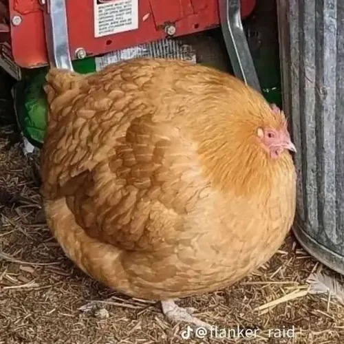108 107