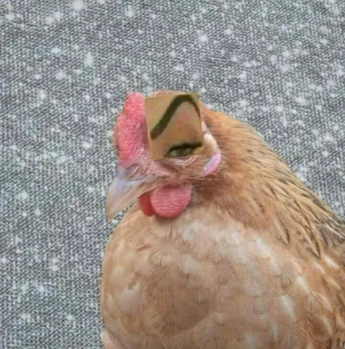 124 123