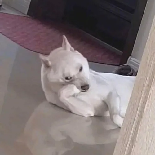 70 69
