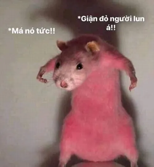 52 51
