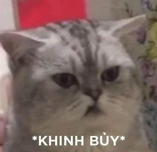 56 55