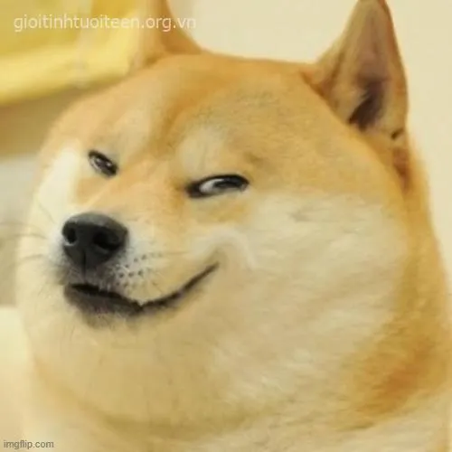 66 65