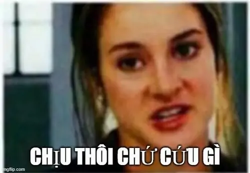 33 Khung trò chuyện Messenger hiện biểu tượng cảm xúc đứng hình, cả nhóm phản ứng khi bình luận trực tuyến quá ngớ ngẩn xuất hiện