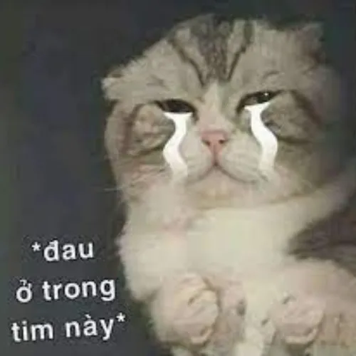 36 35