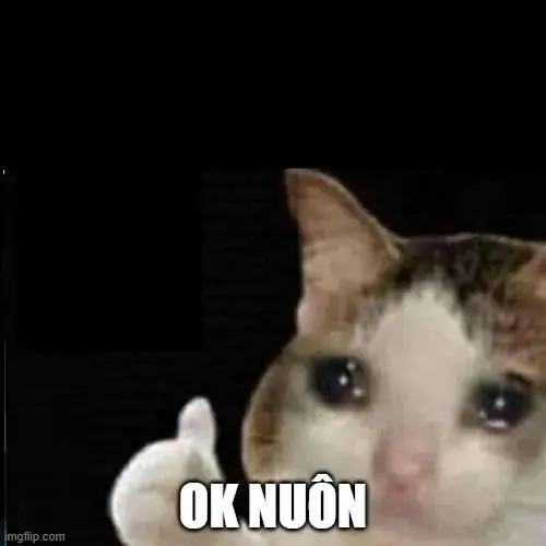 86 85