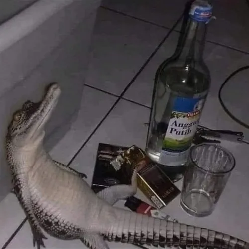 34 33