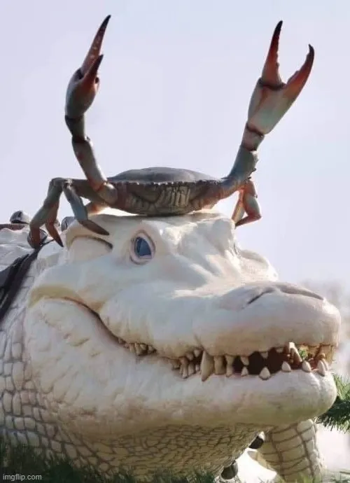 54 53