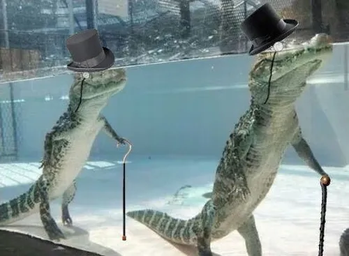 58 57
